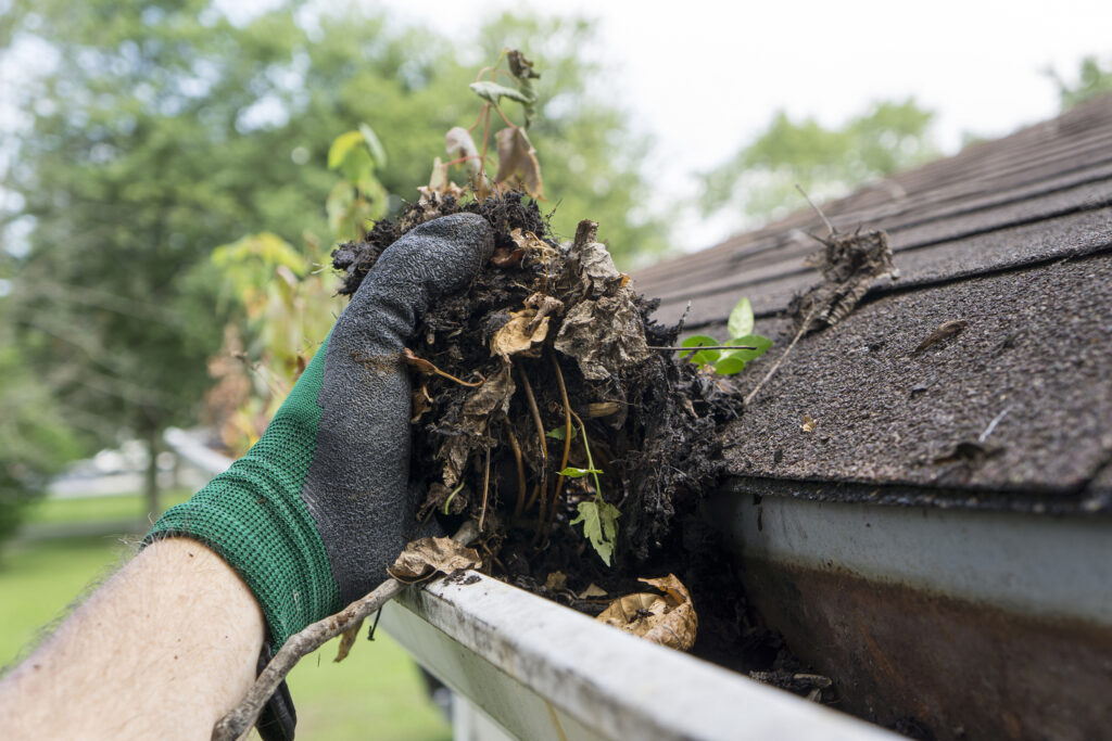 Removing debris from clogged gutters in Germantown MD & Burke VA