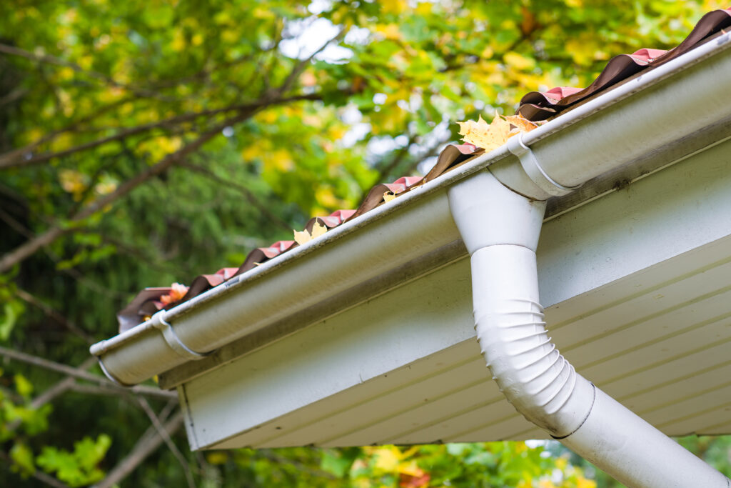 Fall Home Projects