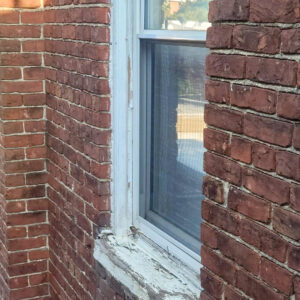 Wood rot and mold in Silver Spring, MD.