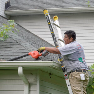 gutter cleaning in vienna VA